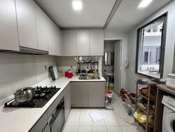 The Visionaire (D27), Condominium #592606781